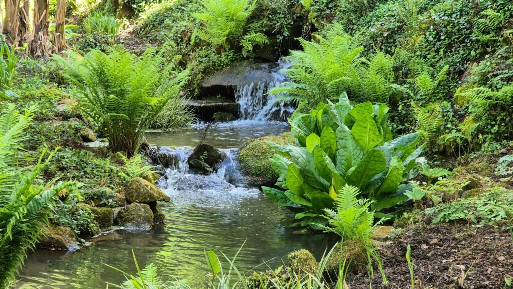 Coaching nature