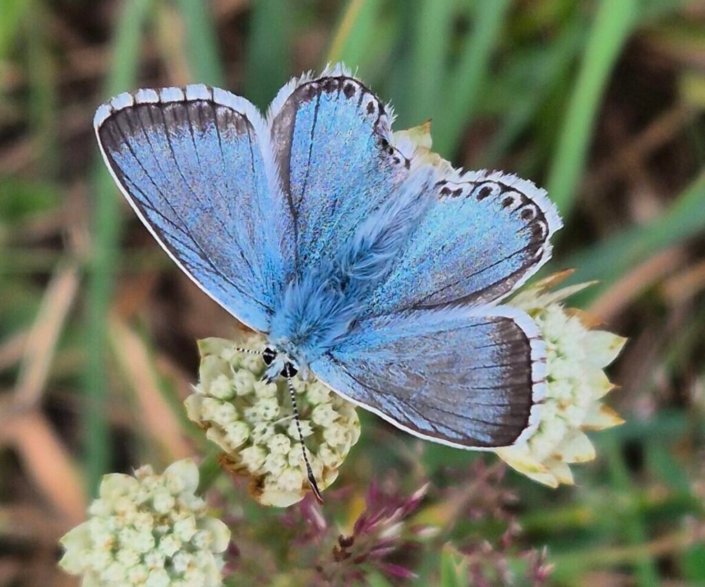 mes accompagnements sur mesure Illùmyn-âme