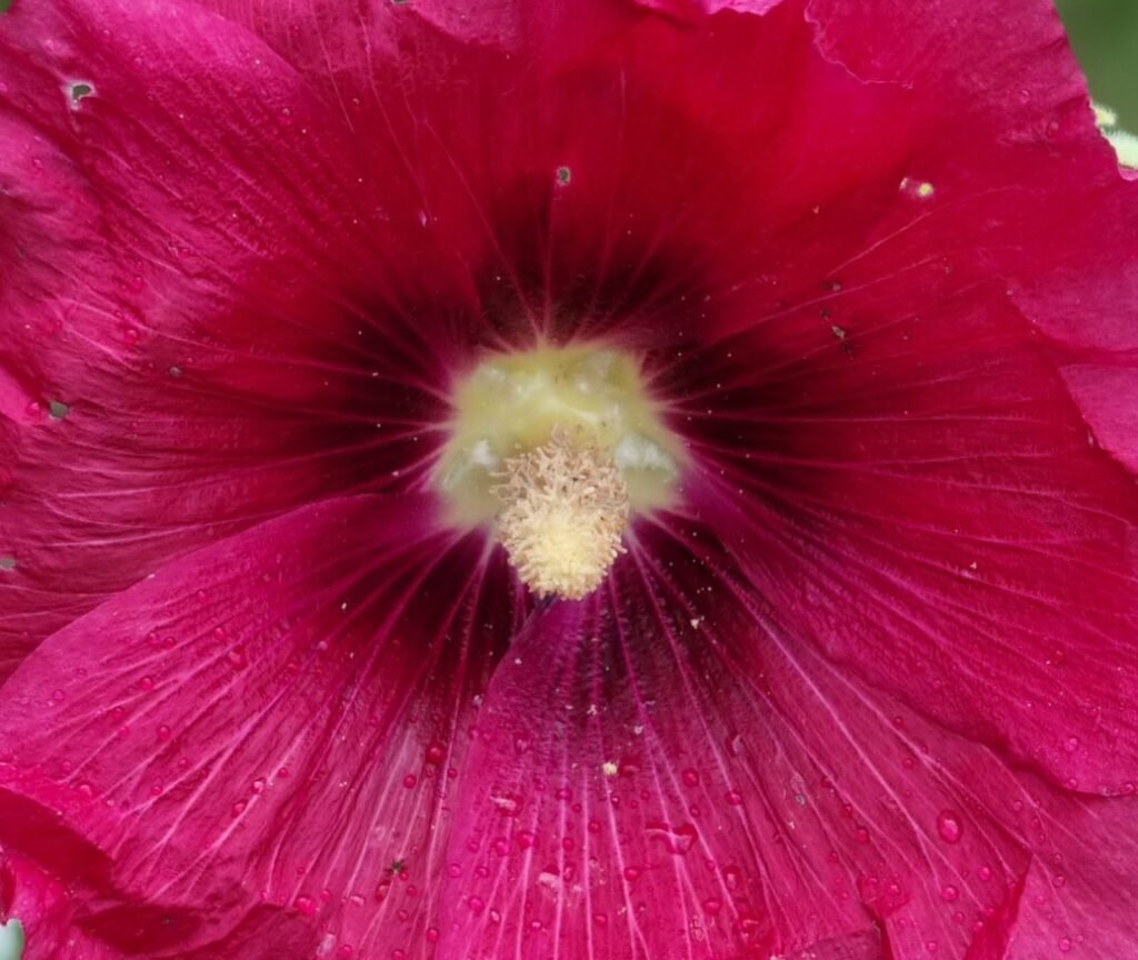 Agenda Illùmyn-âme