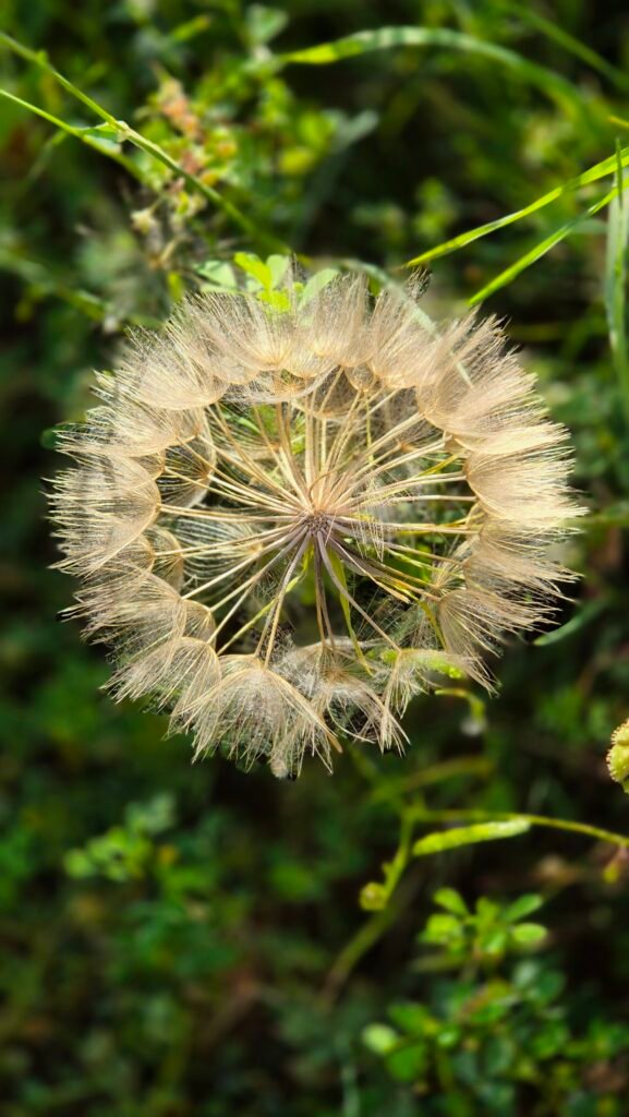 mes accompagnements sur mesure Illùmyn-âme