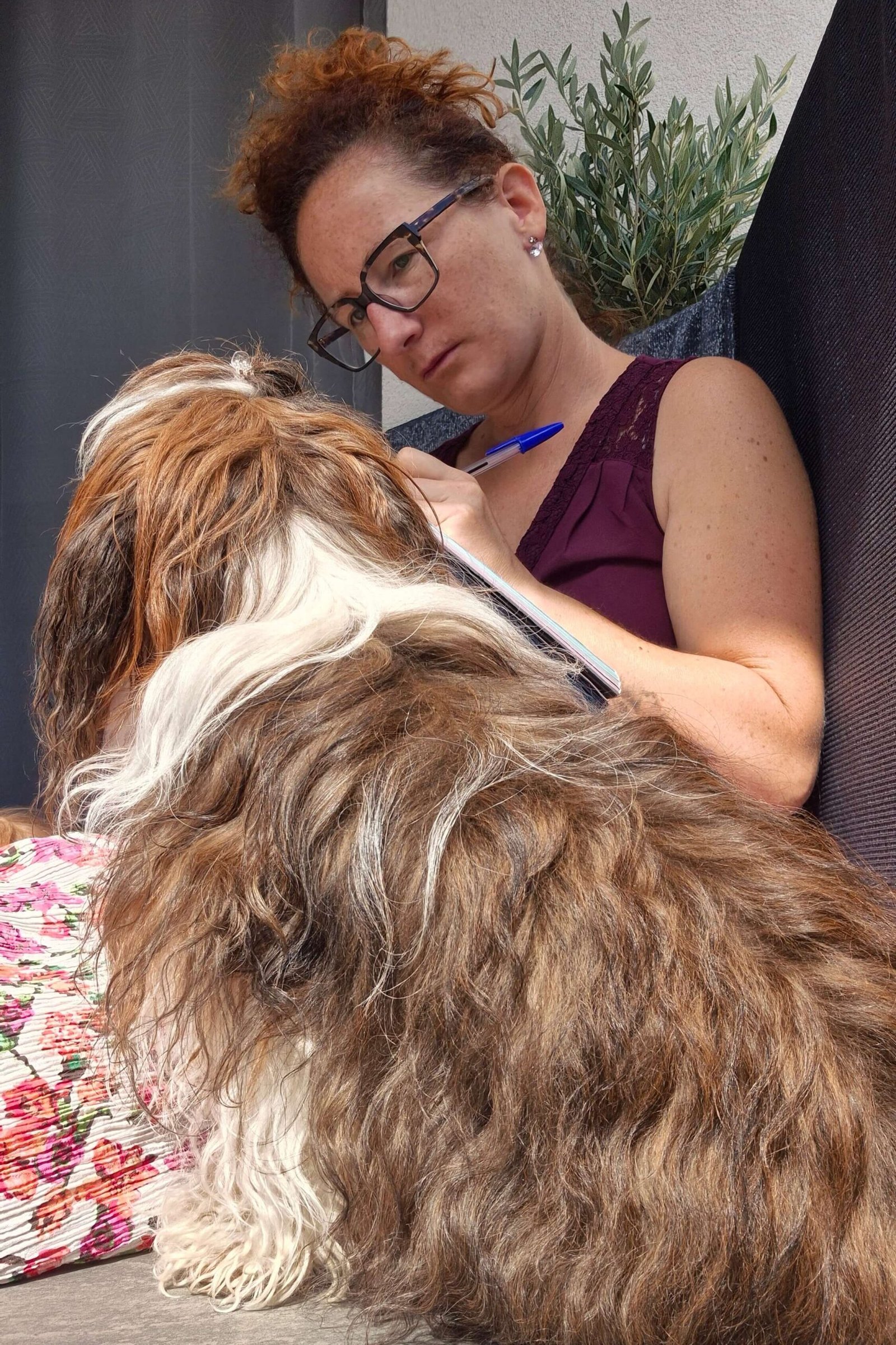 communication animale Illùmyn-âme