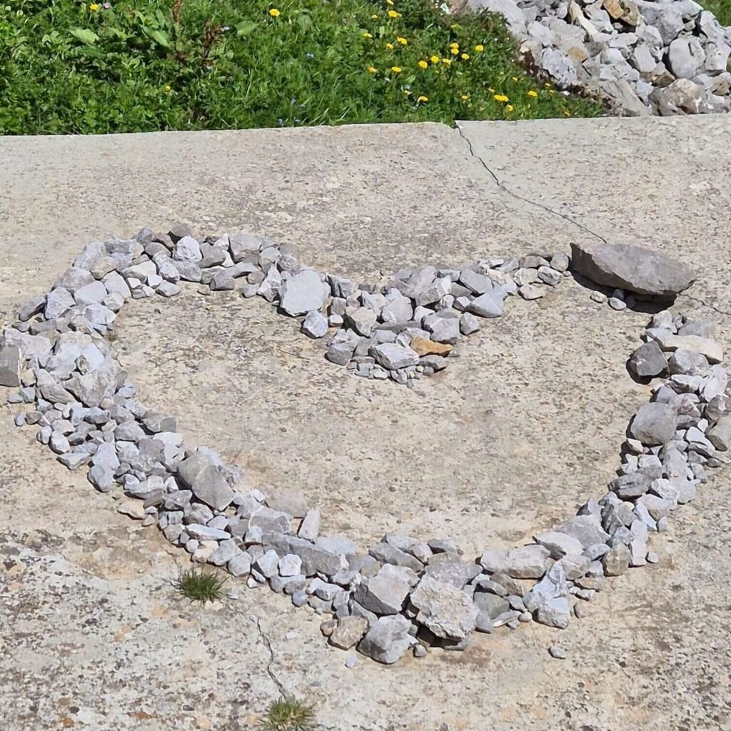 communication animale Illùmyn-âme