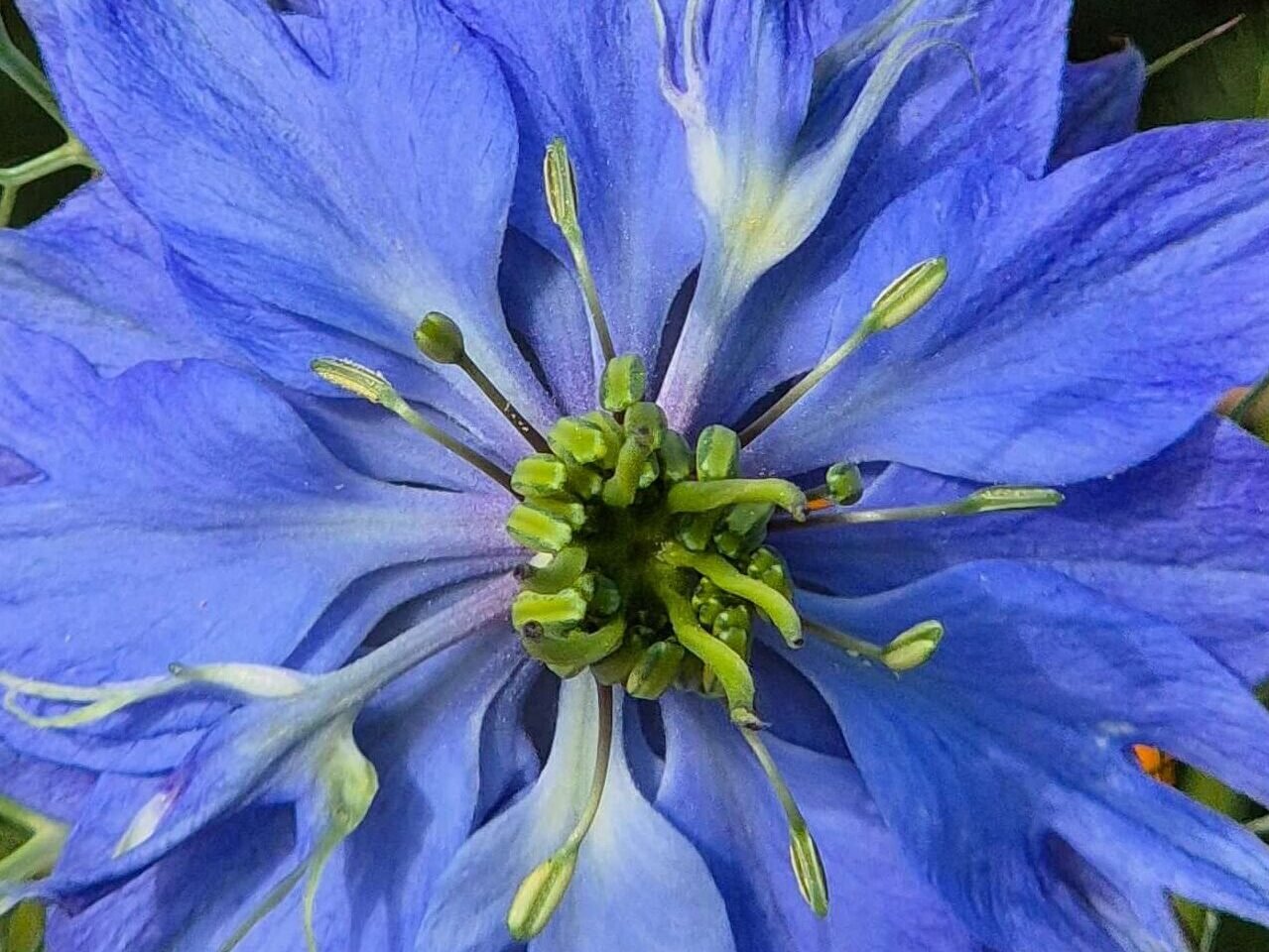 Agenda Illùmyn-âme